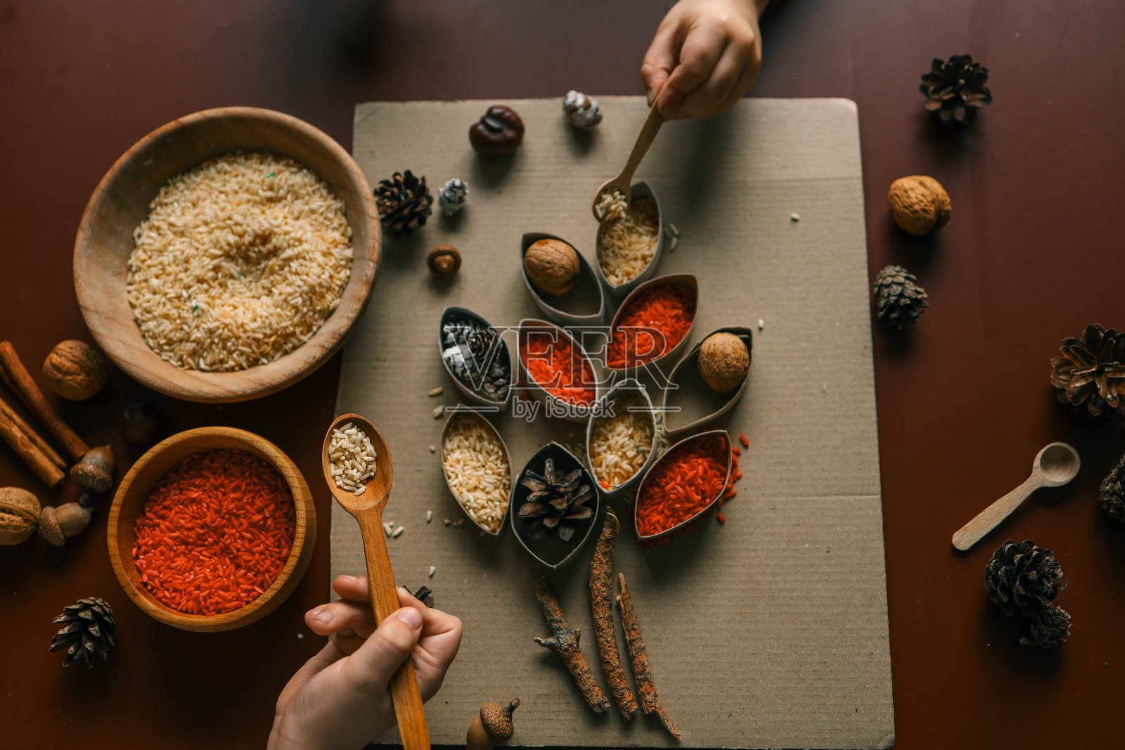 蒙台梭利与感官发展，儿童按颜色分类谷物照片摄影图片