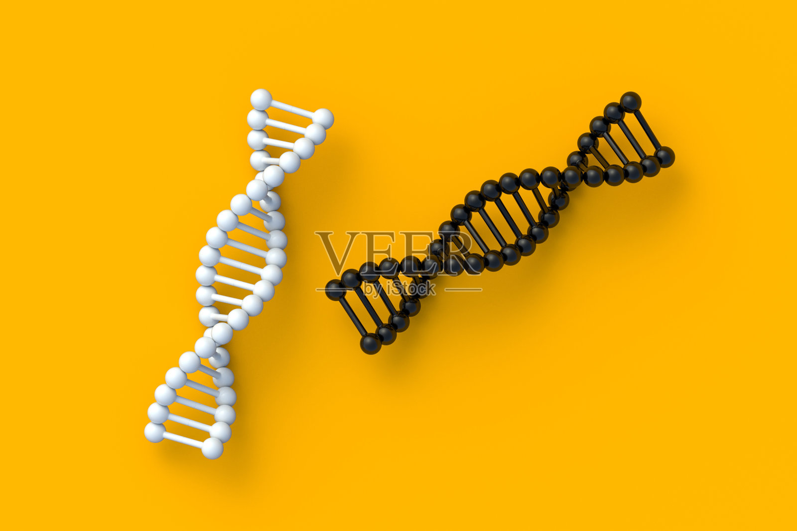 橙色背景上的两个DNA结构。螺旋分子模型。基因生物技术。医疗创新技术。基因组的进化。三维渲染照片摄影图片