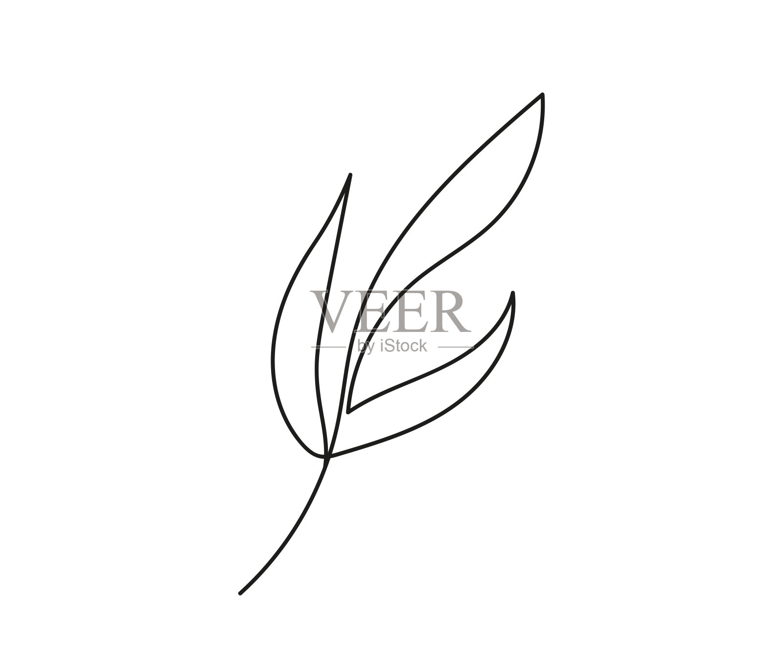 叶片连续单线绘制。线的艺术。植物,绿色植物。自然理念，生态理念，有机形态。白色背景。设计元素印刷，明信片，剪贴簿，着色书插画图片素材