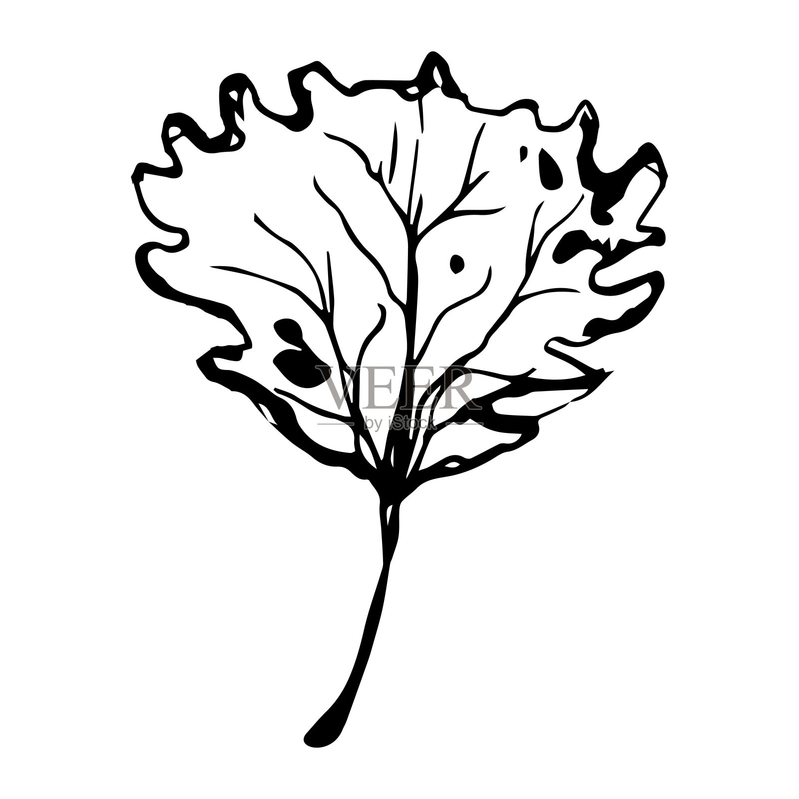 手绘的黑色叶子。复古的叶子，任何用途的伟大设计。插画图片素材