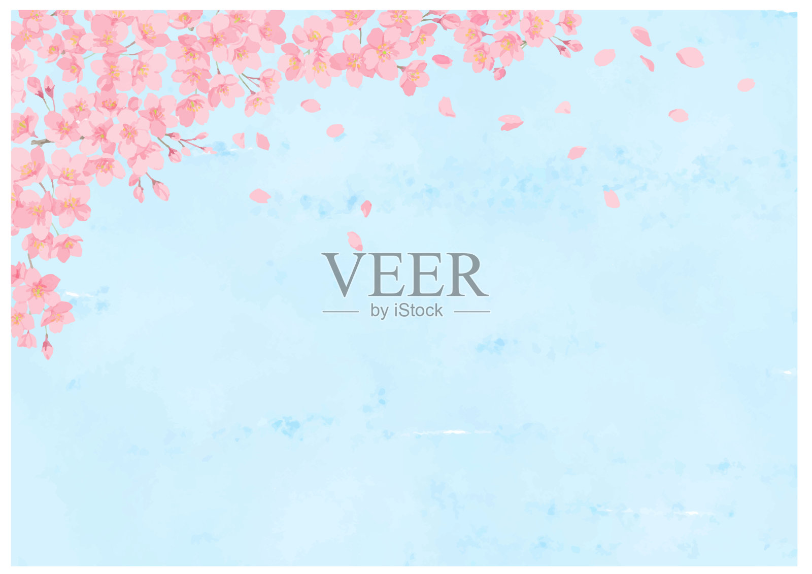 花瓣飞舞的樱花(浅蓝色背景)插画图片素材