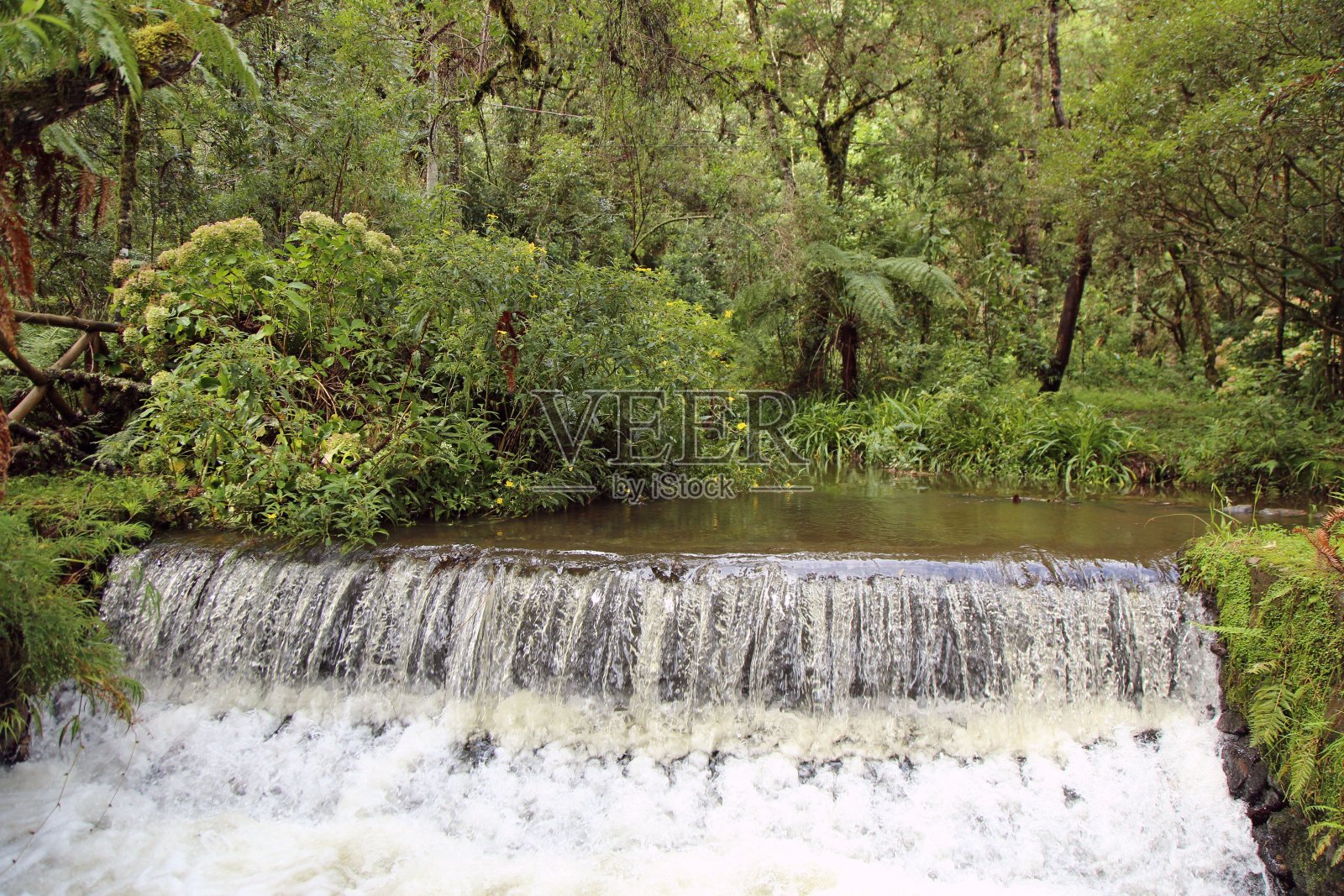 林中瀑布照片摄影图片