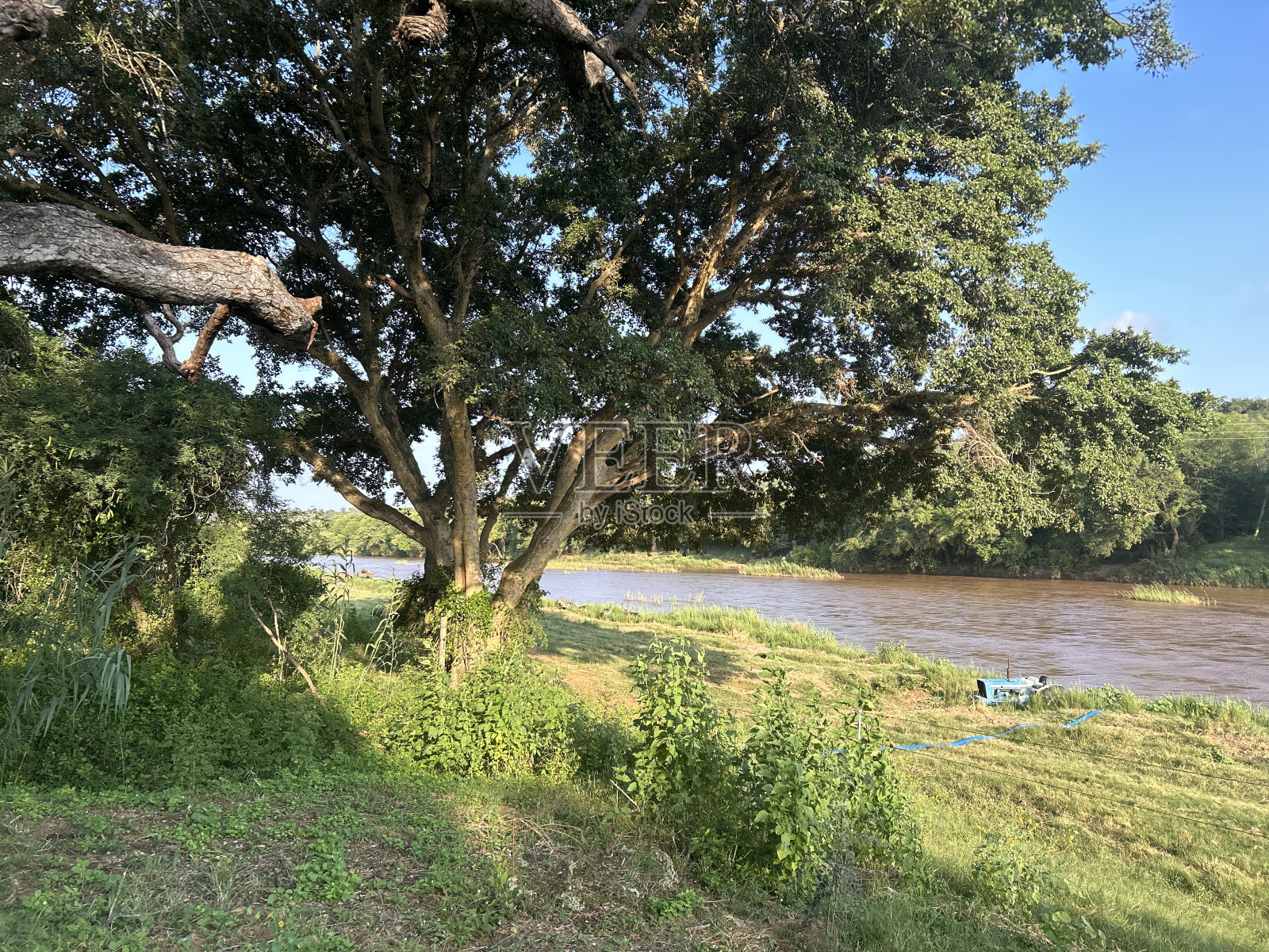 Olifants河照片摄影图片