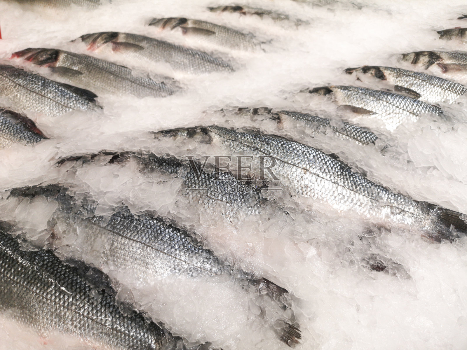 冰镇鱼在市场的柜台上照片摄影图片