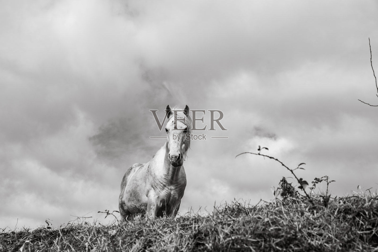 亚速尔群岛的风景，葡萄牙圣玛丽亚的徒步旅行，欧洲旅行。照片摄影图片