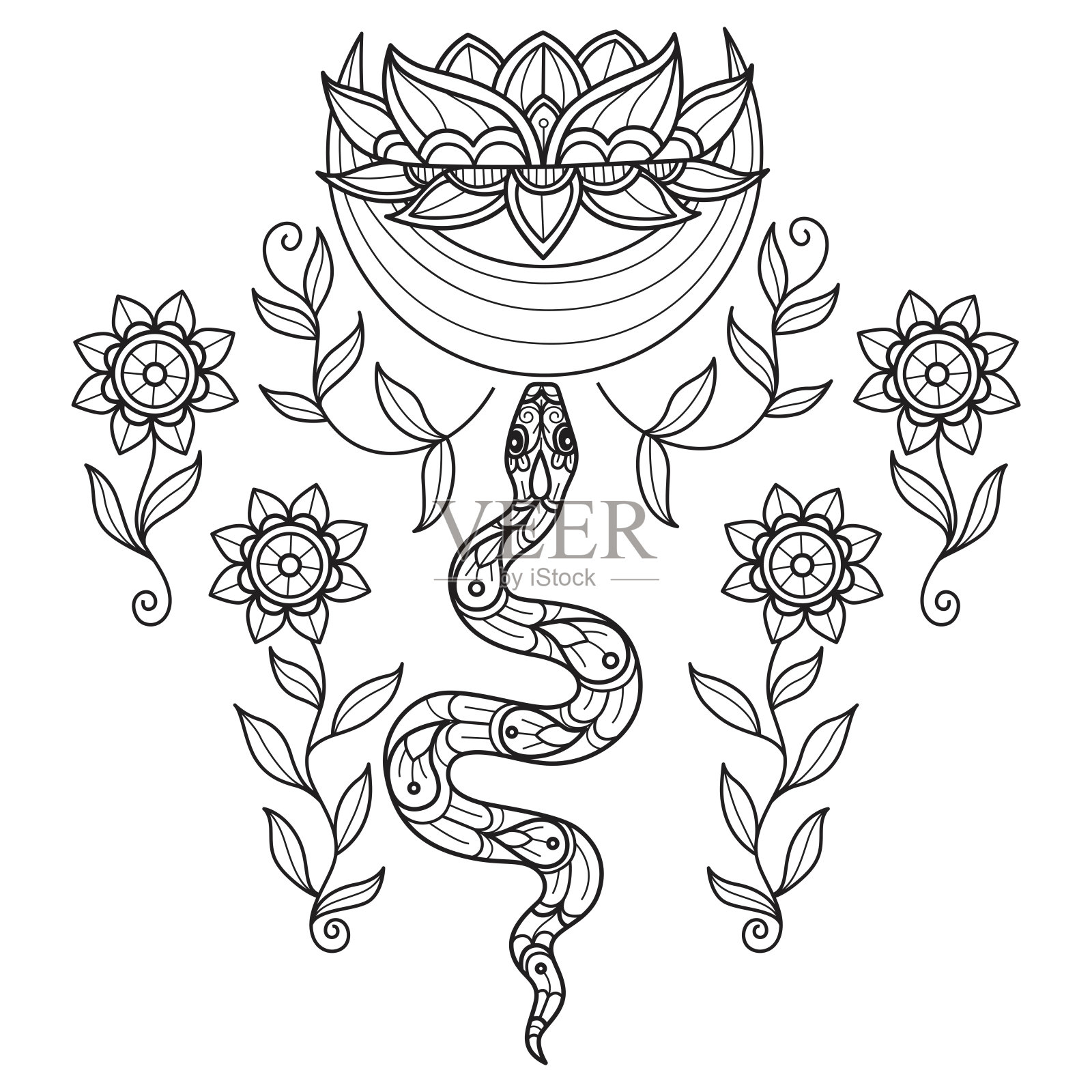 蛇和月亮莲花手绘成人着色书插画图片素材