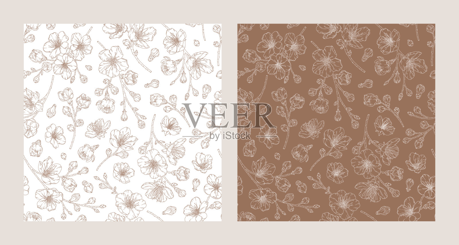 一套无缝图案与盛开的杏花插画图片素材