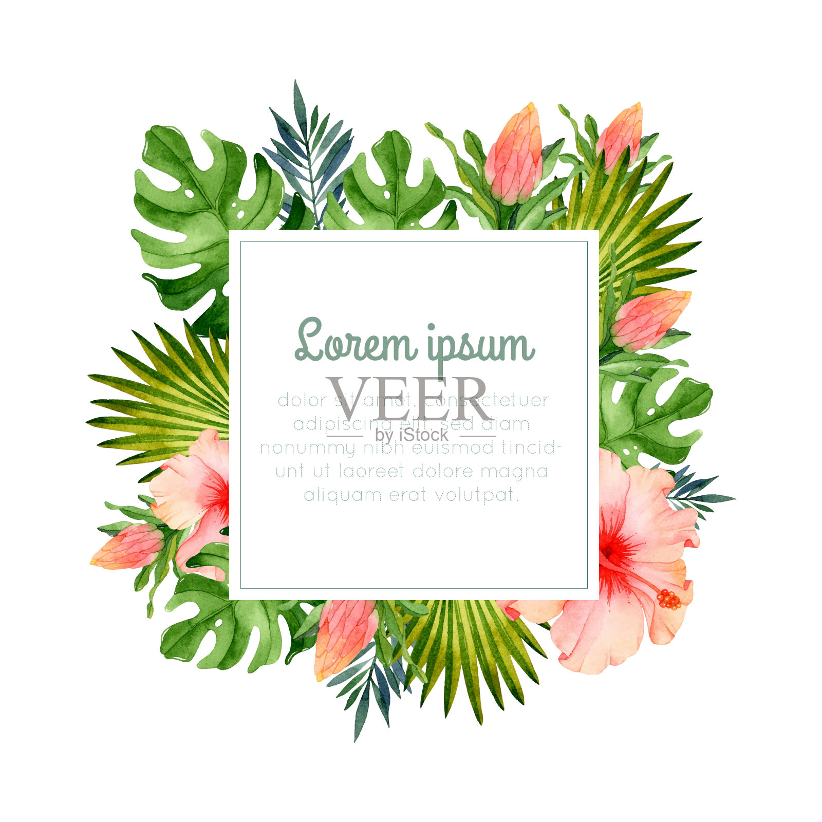 热带天堂水彩框架与花，怪物和棕榈叶插画图片素材