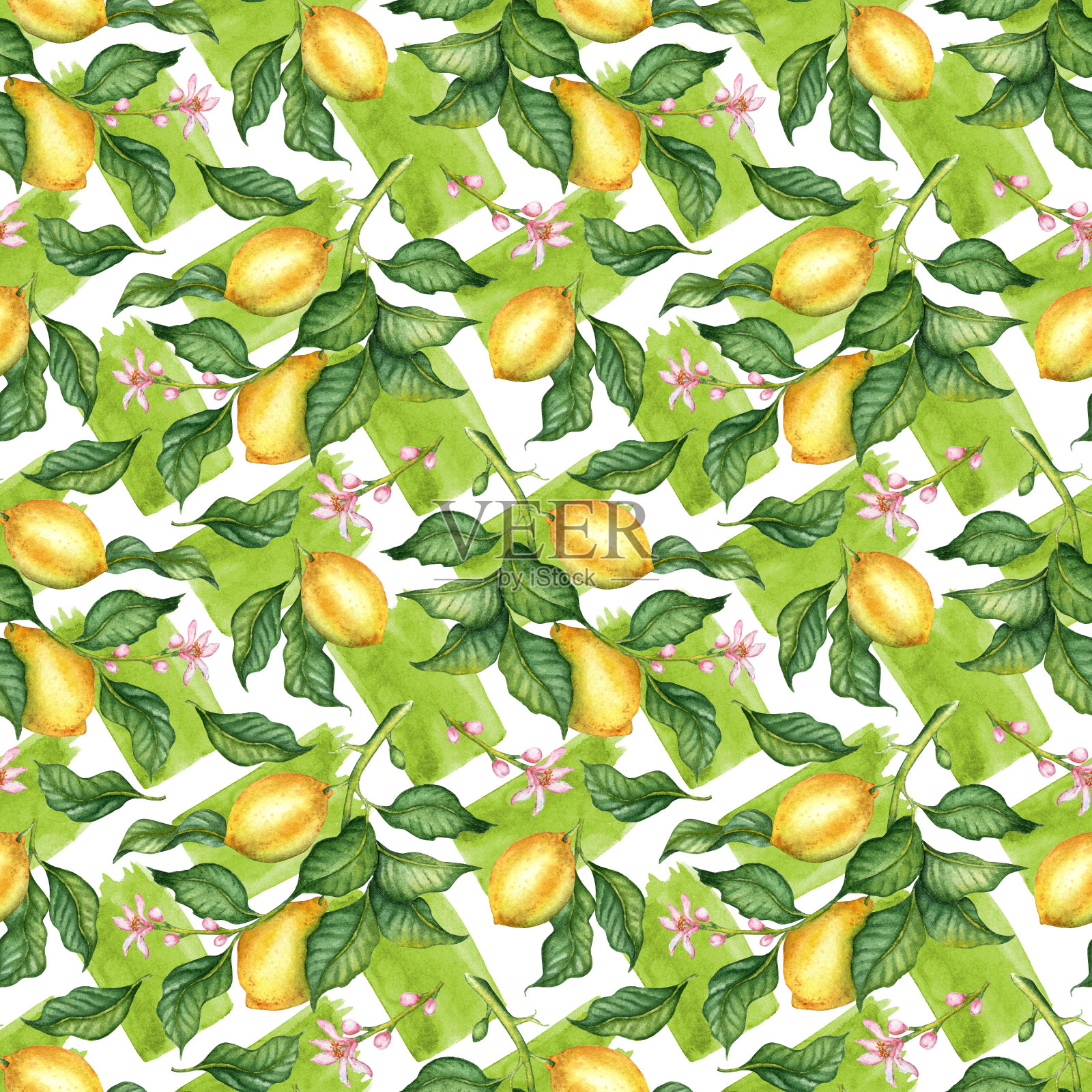 黄色柠檬图案与绿色水彩画笔画插画图片素材