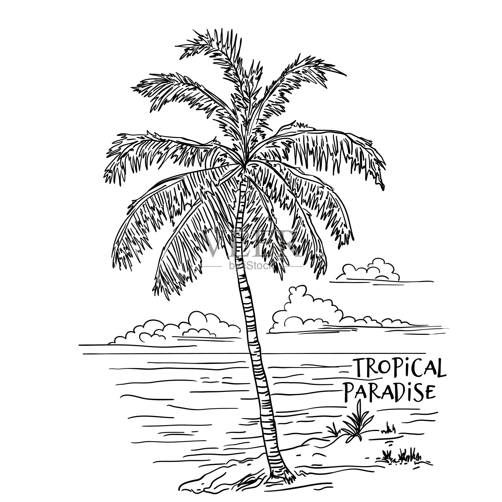 棕榈树景观海洋海岸手绘素描矢量插图，热带天堂口号文字插画图片素材