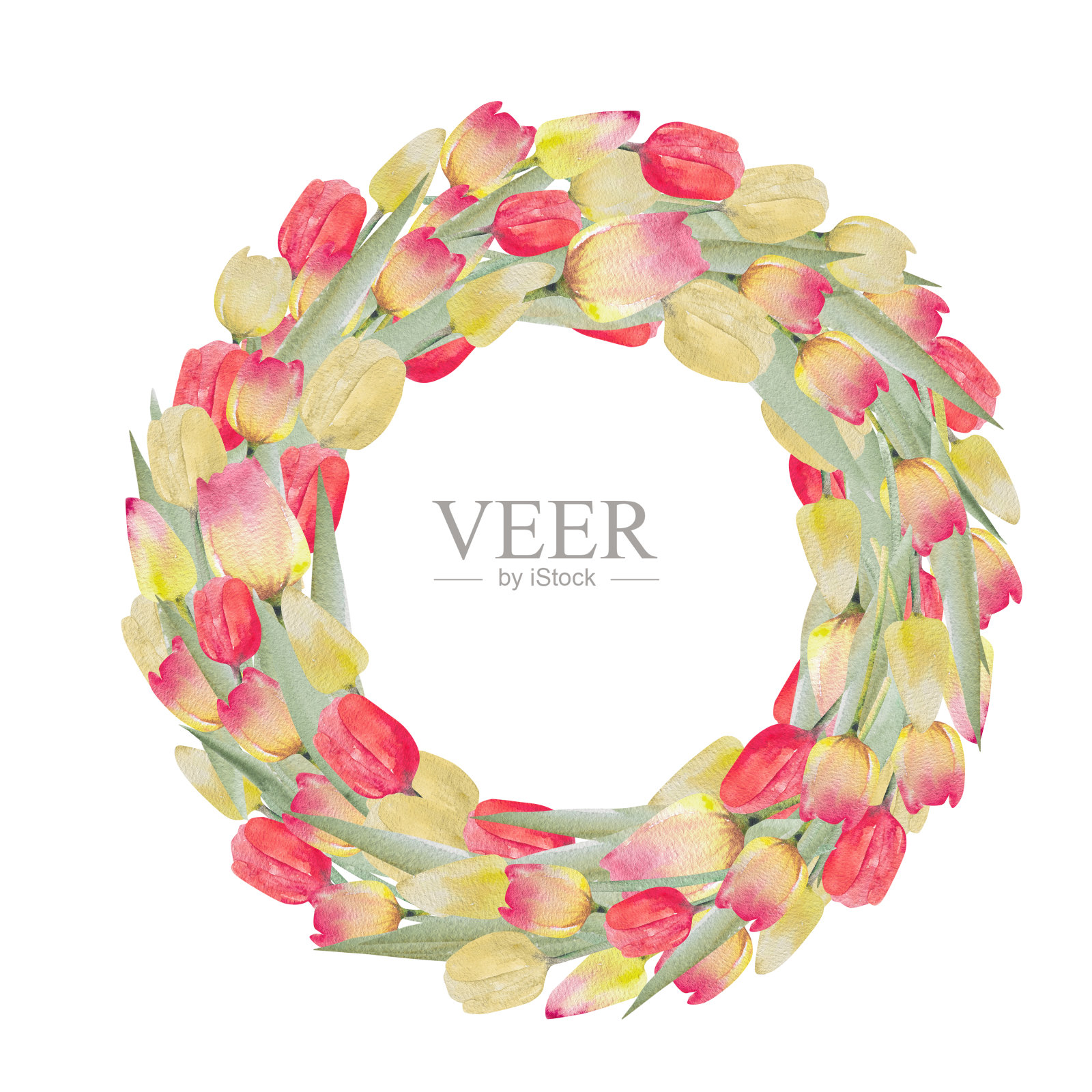 一束郁金香。水彩插画春天花圈。复活节，妇女节的明信片插画图片素材