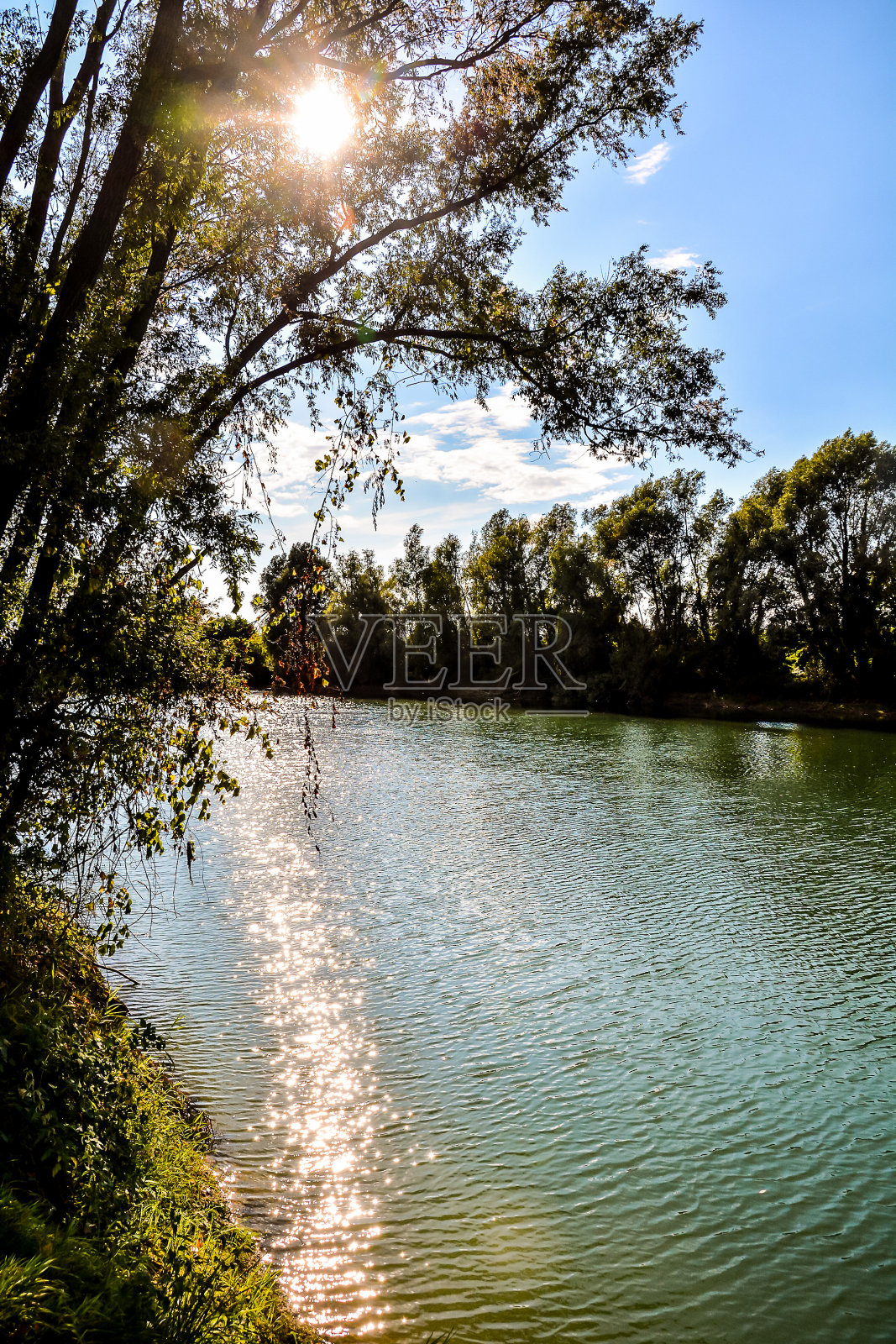 野生布伦塔河照片摄影图片