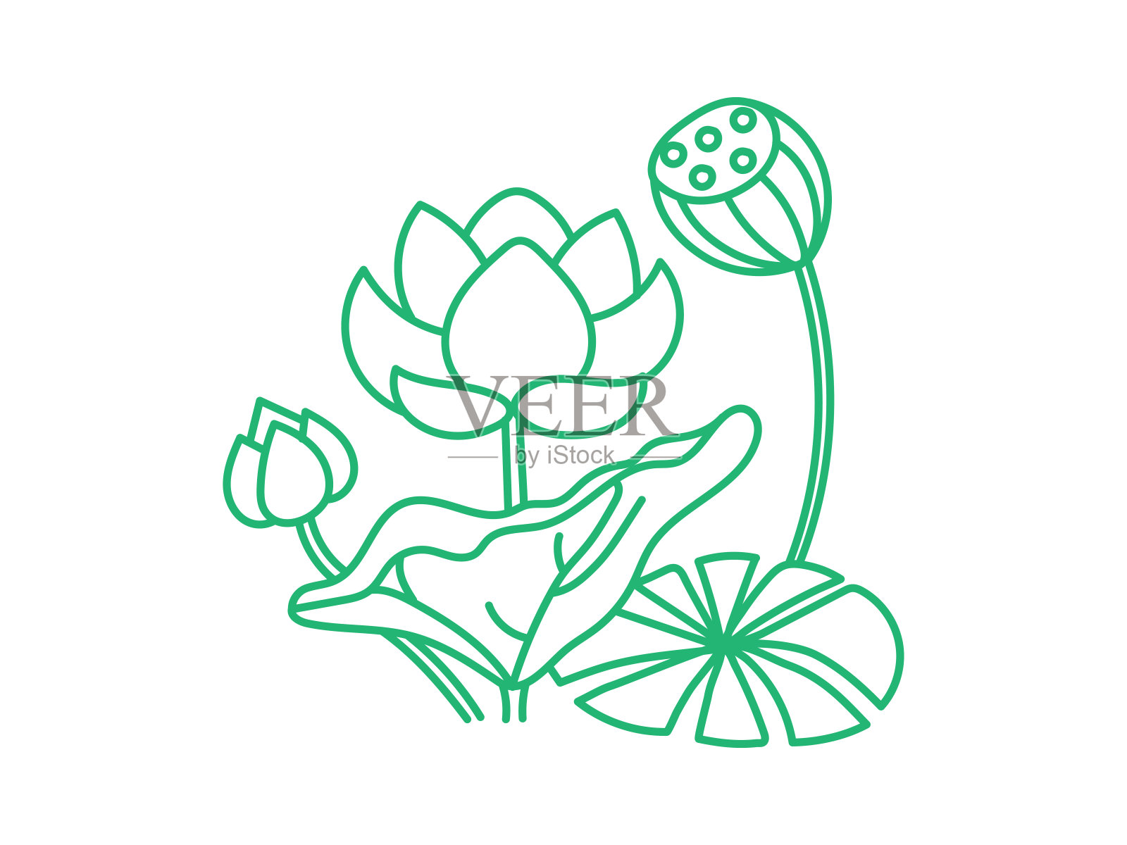 莲花线条艺术插图颜色为绿色插画图片素材