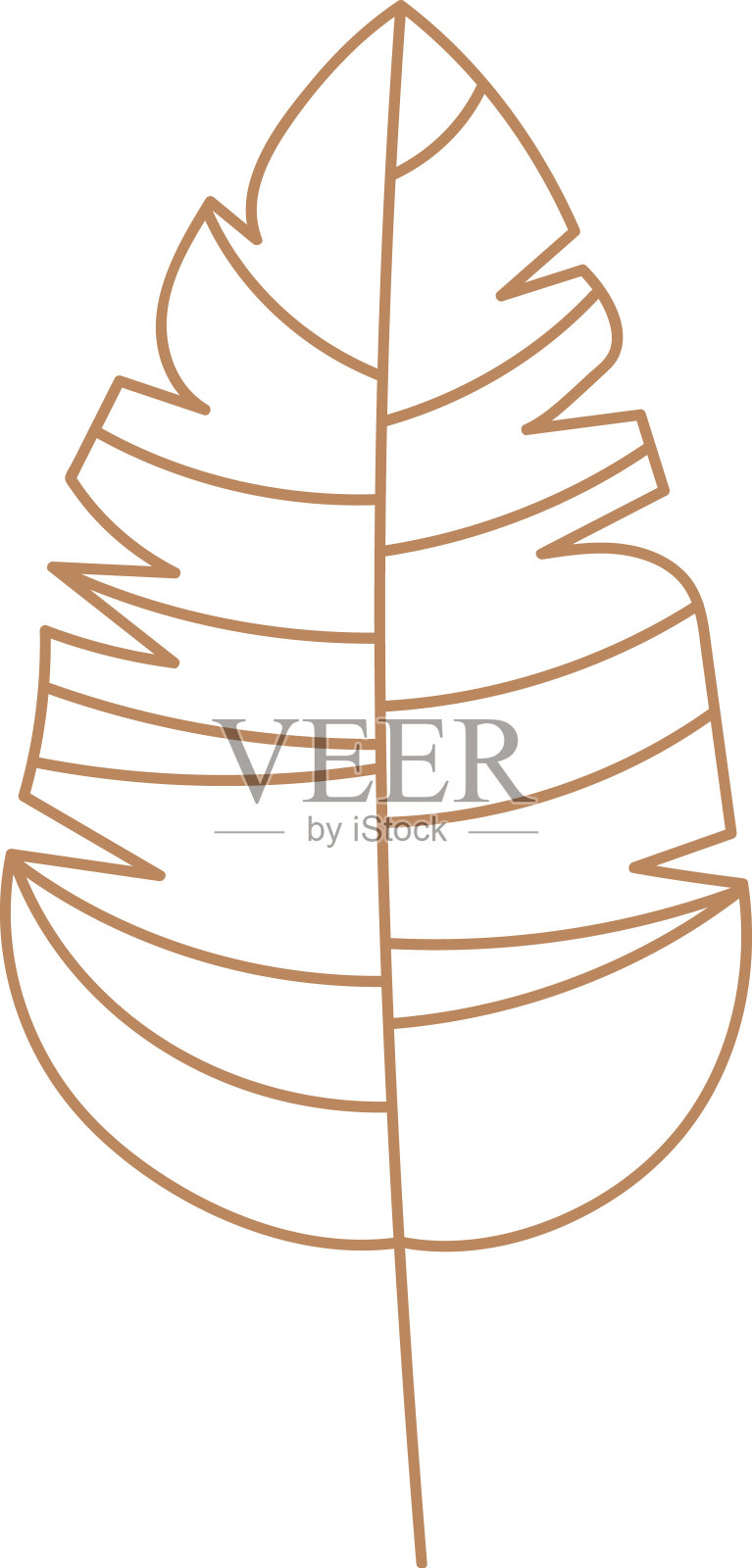 插画元素在空白背景上插画图片素材