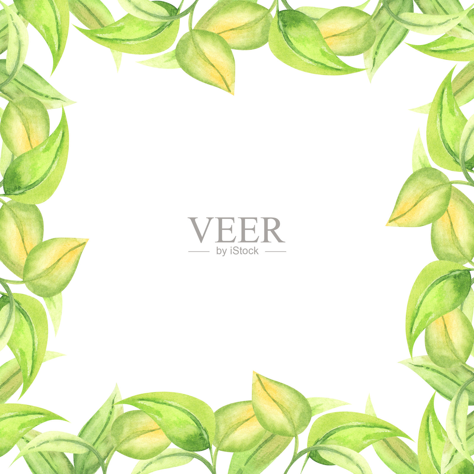 花框，边框，模板孤立在白色上。水彩手绘花卉插图复制空间，卡片，问候，邀请。绿叶方形设计元素。插画图片素材
