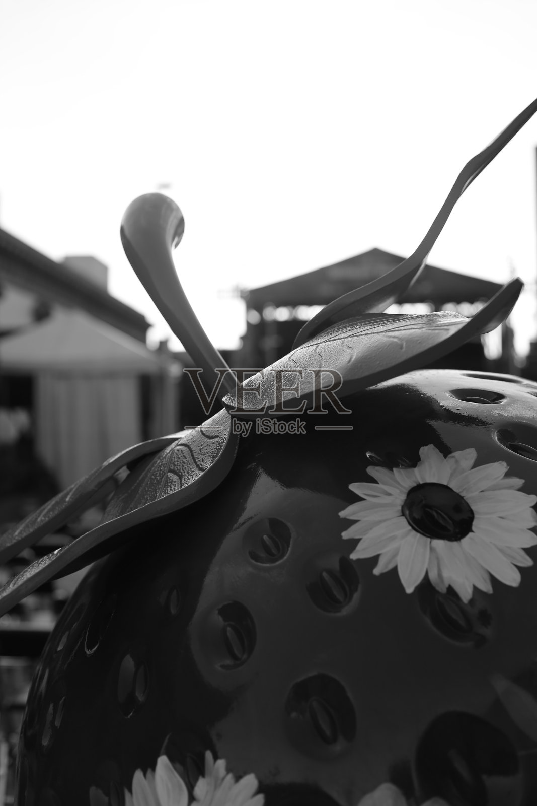 市中心照片摄影图片