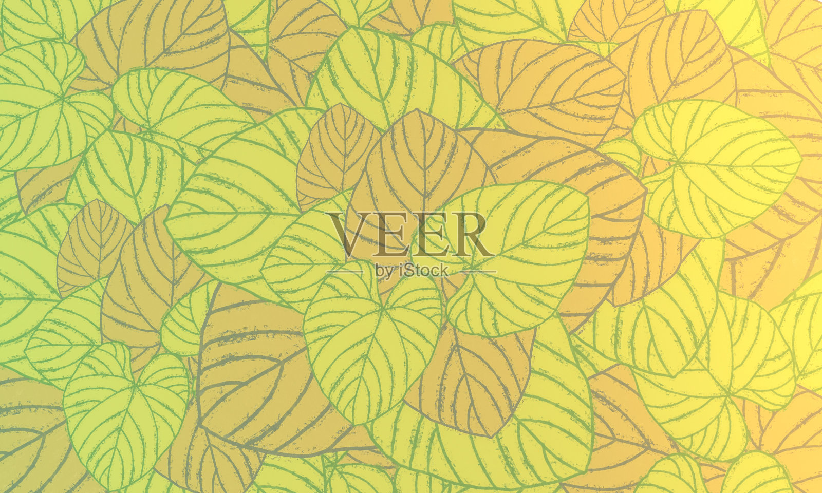 绿叶热带图案春天自然背景插画图片素材