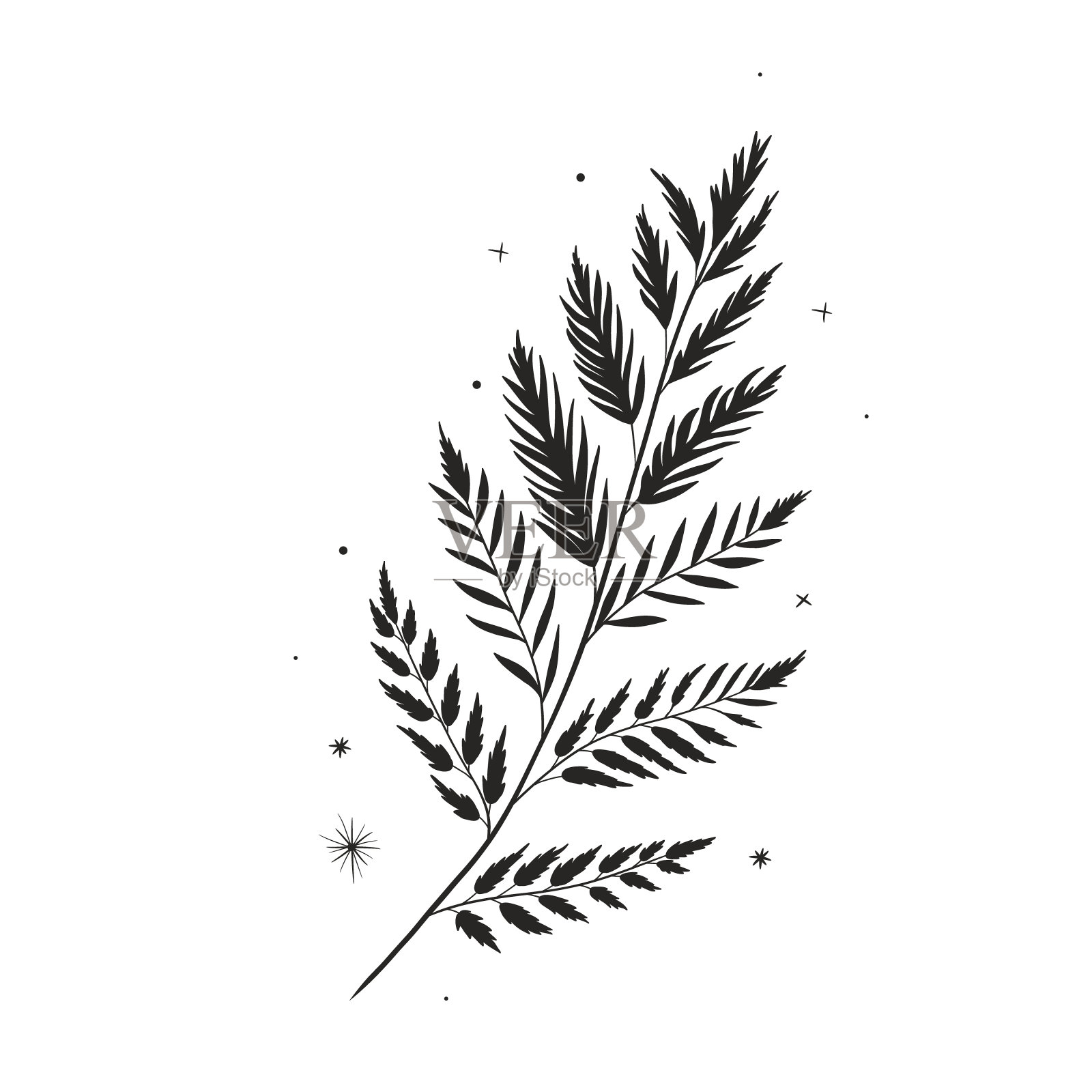 矢量插图月相集。不同阶段的月光活动在复古雕刻风格。星座插画图片素材