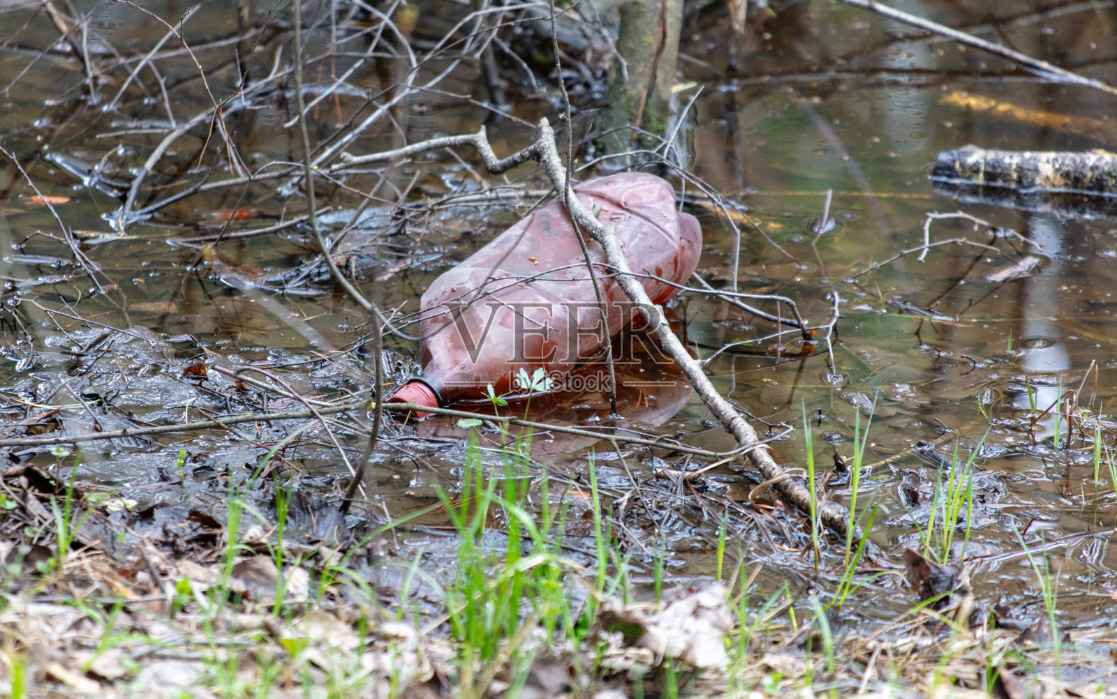 池塘里的塑料瓶就像垃圾一样照片摄影图片