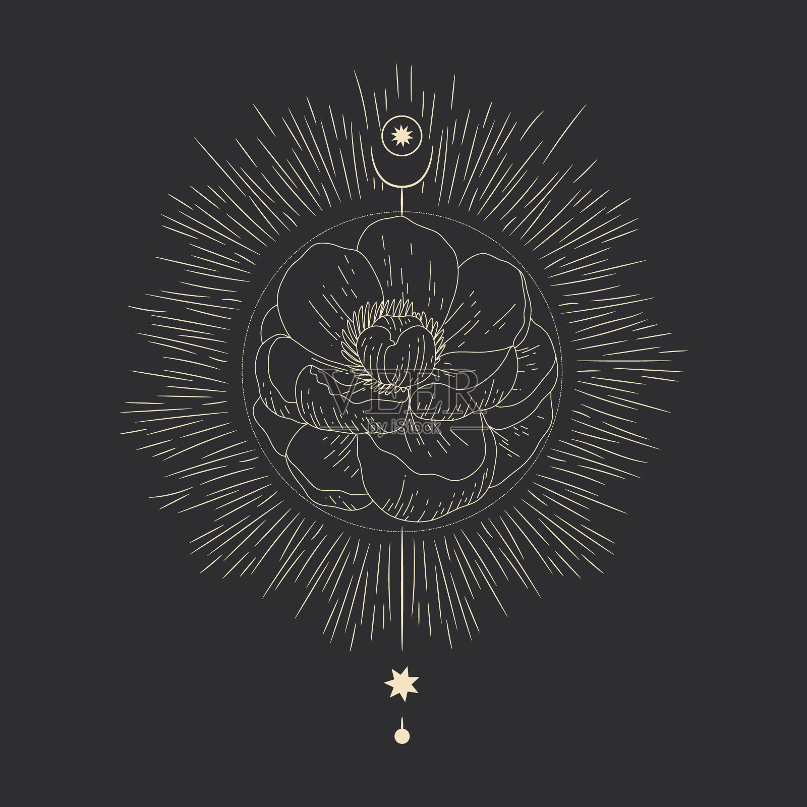 矢量插图月相集。不同阶段的月光活动在复古雕刻风格。星座插画图片素材