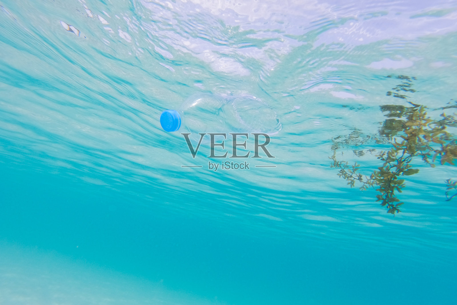 海洋塑料污染照片摄影图片