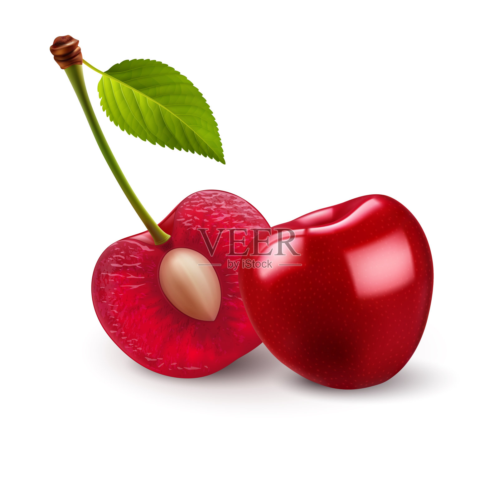 樱桃浆果插画图片素材