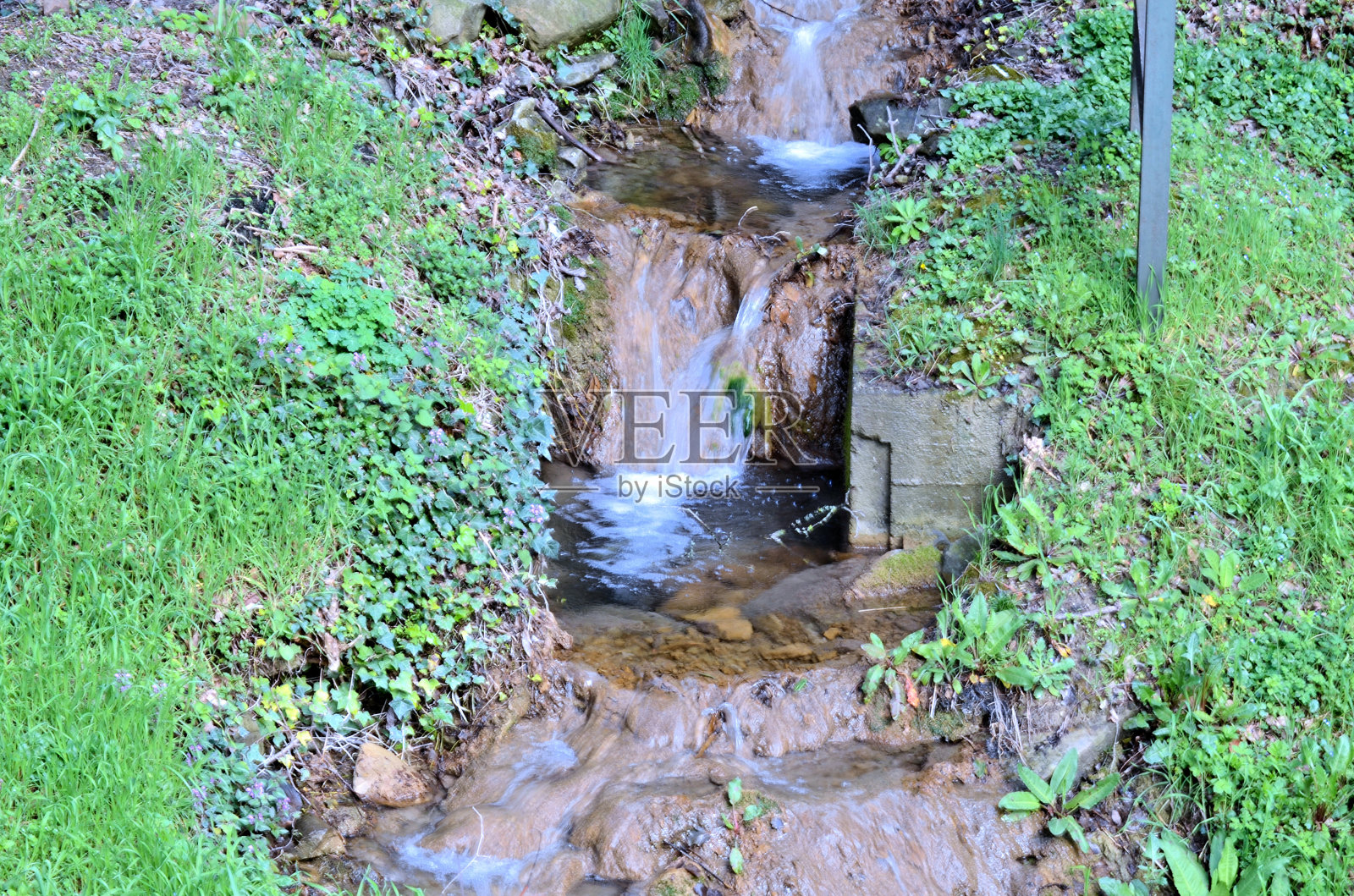 的里雅斯特不寻常的景色(瀑布、鲜花和水珠)。照片摄影图片