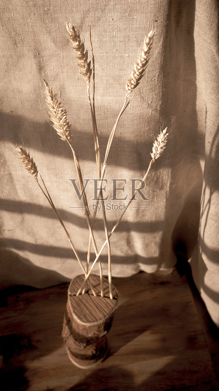 小麦在阳光下的影子照片摄影图片