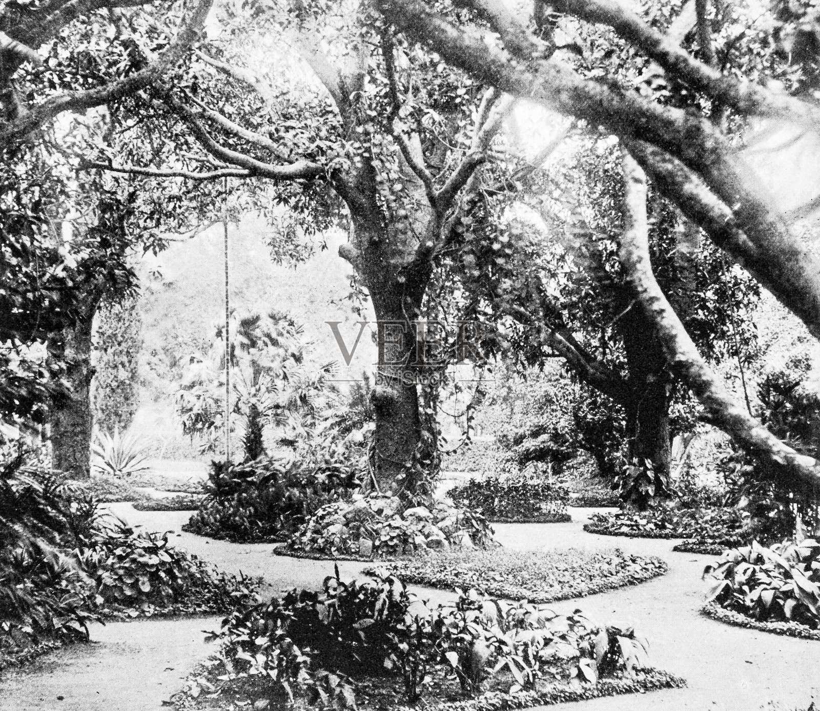 1895年印度的人物和地标:班加罗尔的拉尔巴格插画图片素材