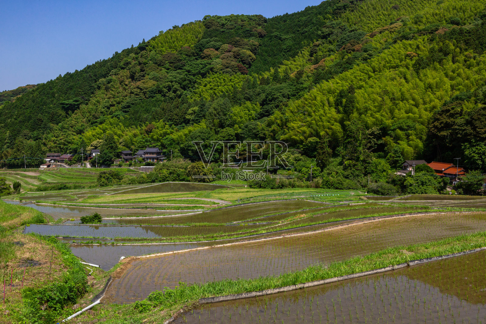 北九州市高乐南区Ideura的梯田景观照片摄影图片