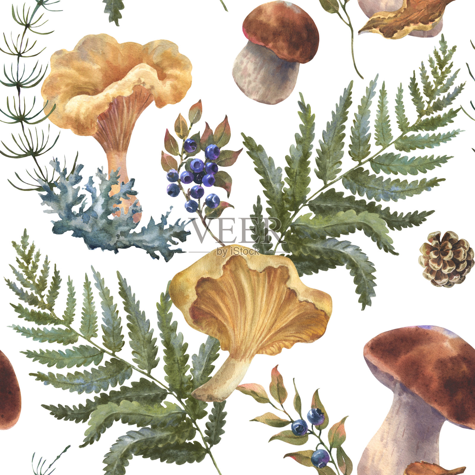 天衣无缝的图案，森林食用菌与蓝莓，越橘，秋叶，细枝和花朵。水彩插图，手绘。在白色的背景上。插画图片素材