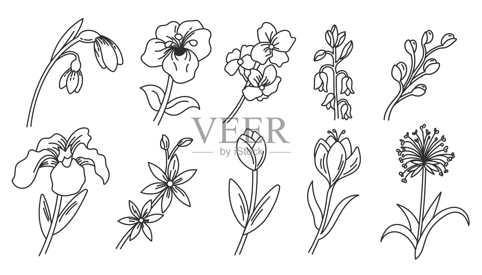 春天花涂鸦收集-扩展插画图片素材