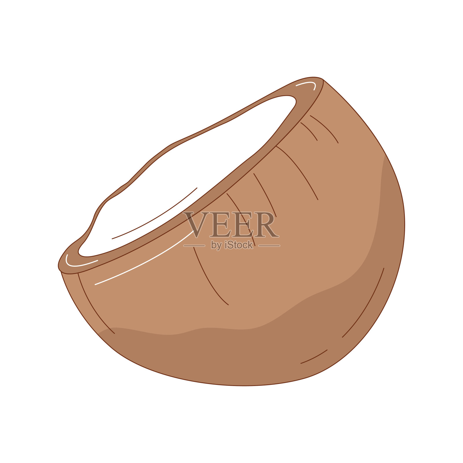 手绘椰子水果矢量插图。创意手绘水果矢量元素设计插画图片素材