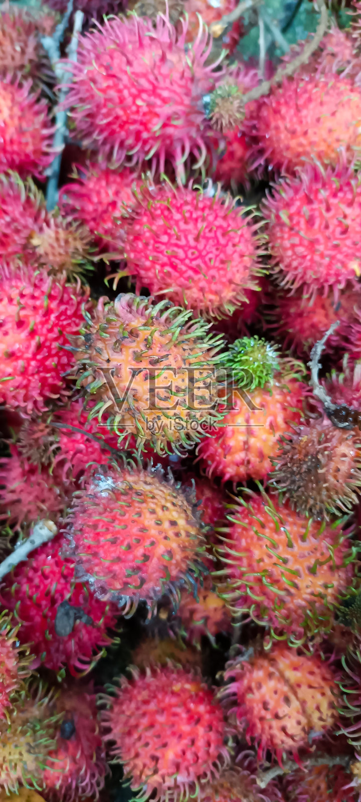 一串串红毛丹的果实真漂亮。照片摄影图片