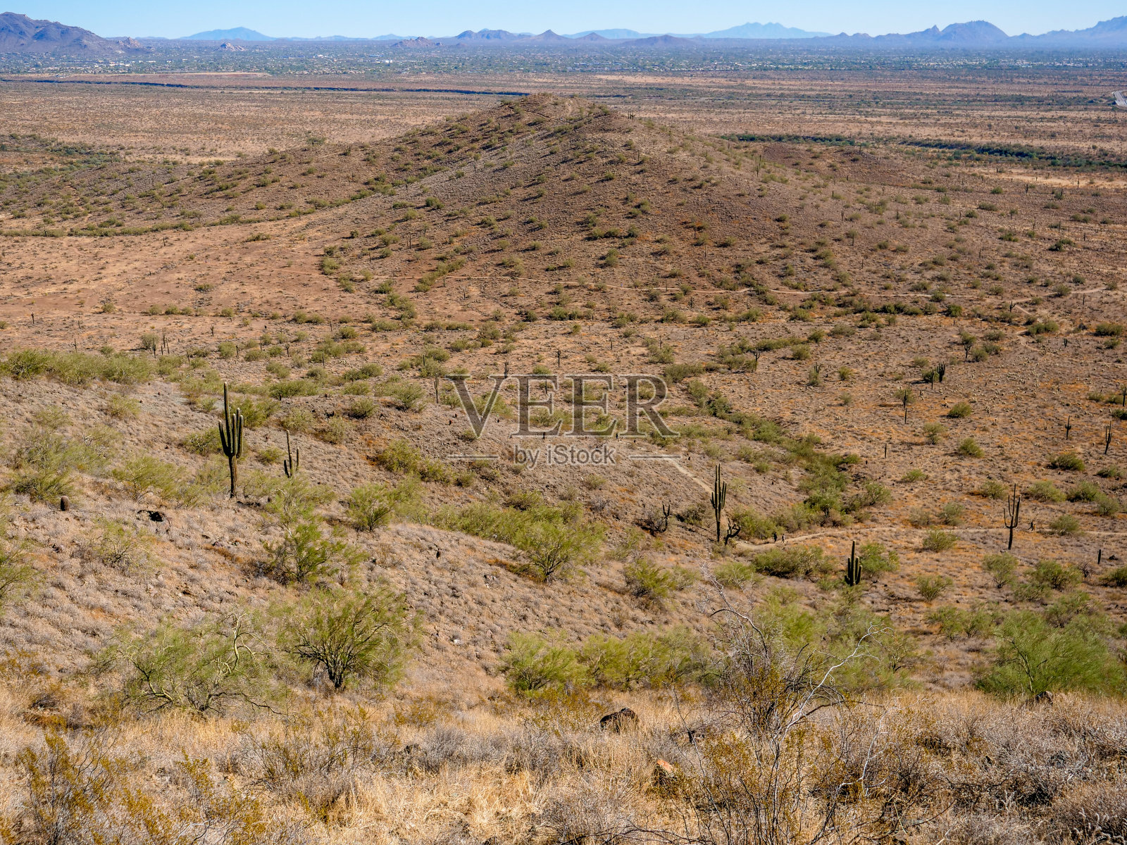索诺兰沙漠景观照片摄影图片