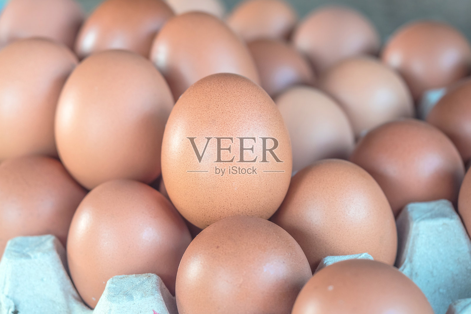 有选择性聚焦的新鲜鸡蛋特写照片摄影图片