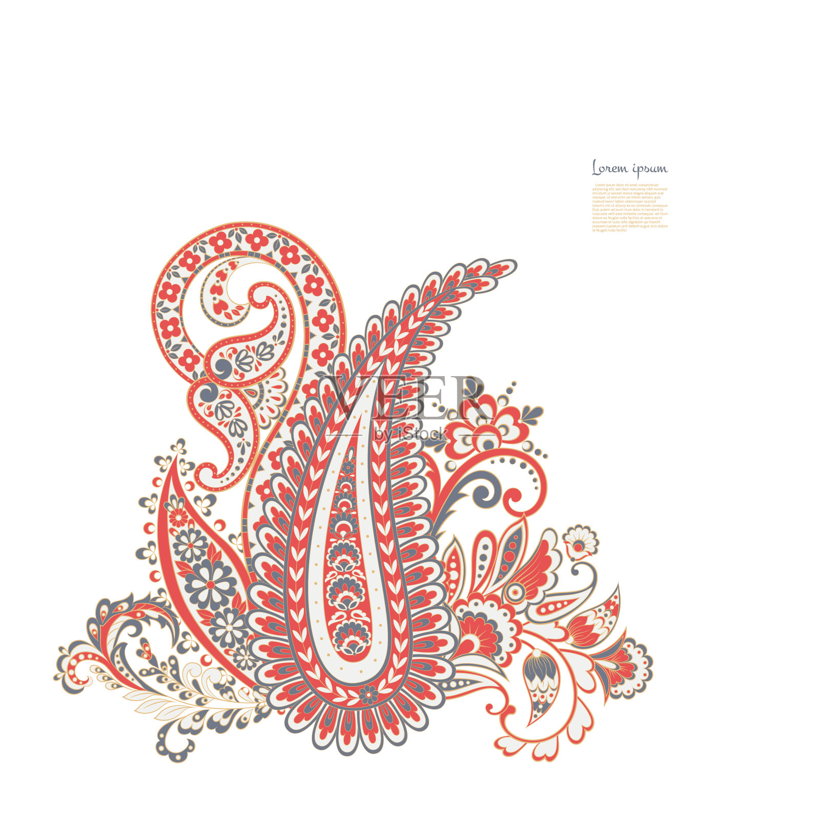 花卉佩斯利彩色矢量装饰。孤立的模式插画图片素材