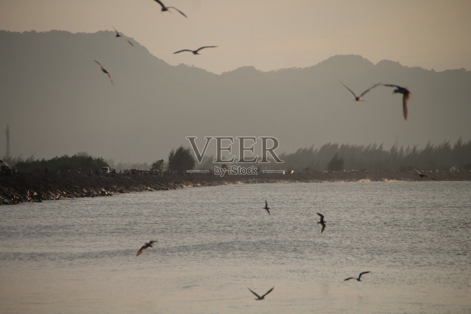 海鸥在波涛的怒吼中低飞照片摄影图片