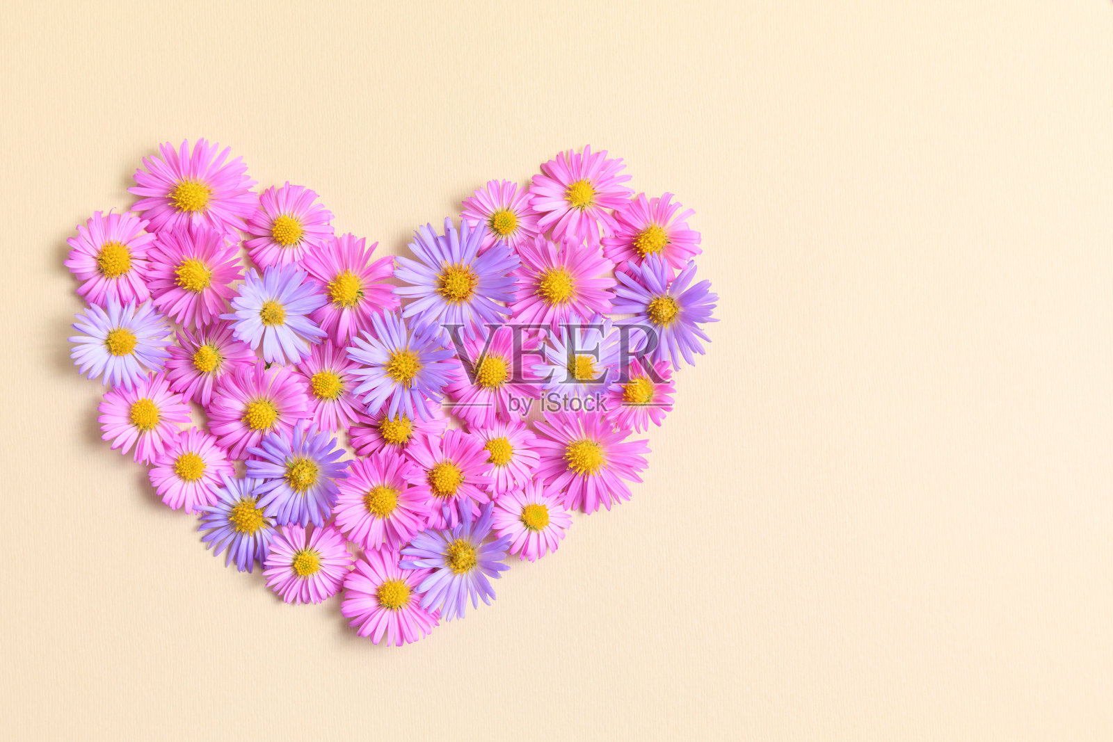 心形由粉红色和紫色紫苑花在米色背景。创意春意，时尚新潮贺卡。自然最小的概念。花的心。平躺，俯视图。照片摄影图片