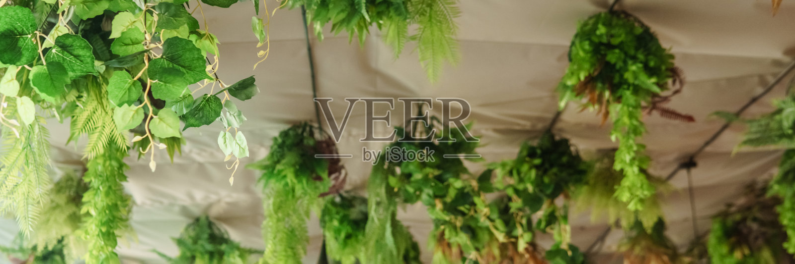 咖啡厅内部采用亲生物设计元素。天花板上挂着室内植物。热爱生命的概念照片摄影图片