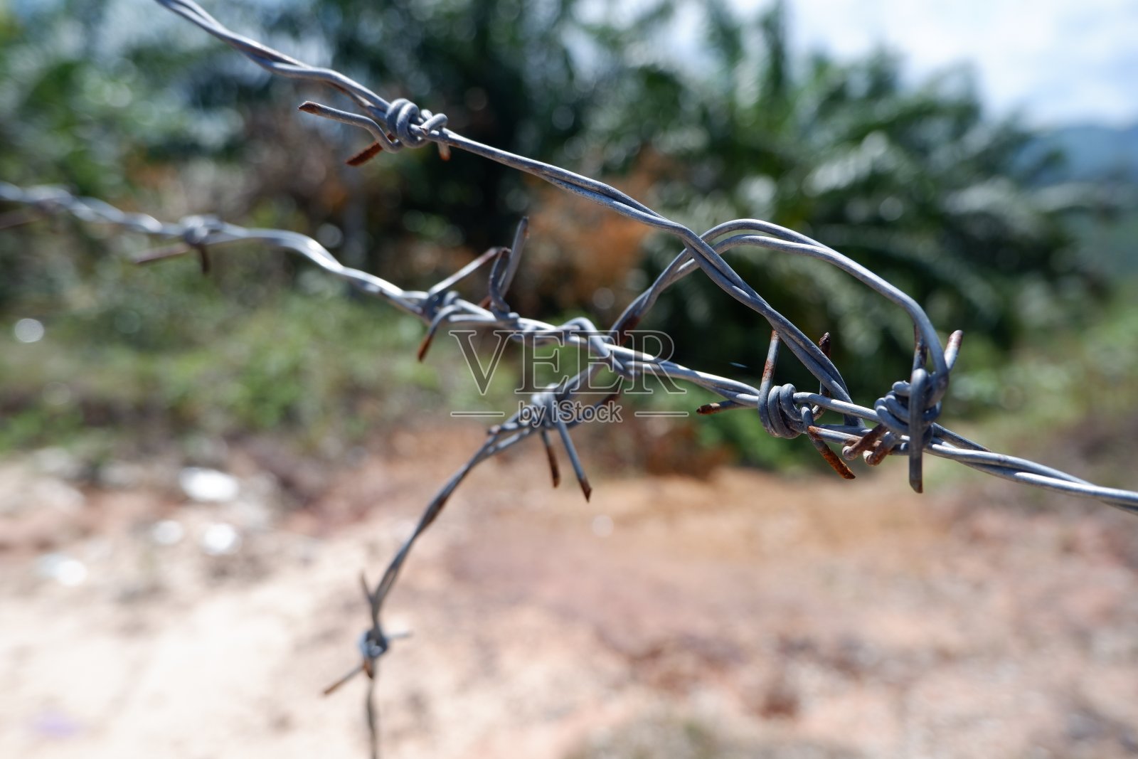 带刺铁丝栅栏照片摄影图片