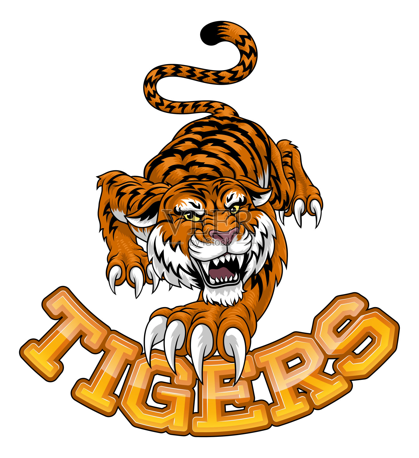 愤怒的老虎队体育吉祥物咆哮插画图片素材