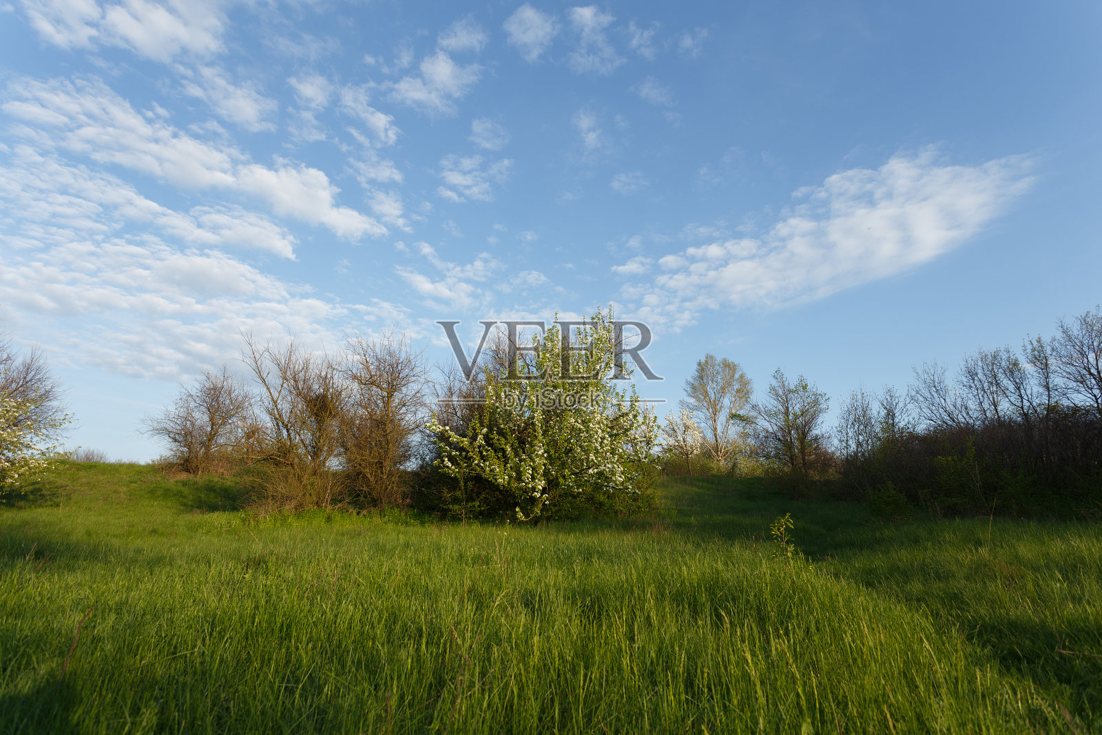 晴朗多云的天空下春天的草地照片摄影图片