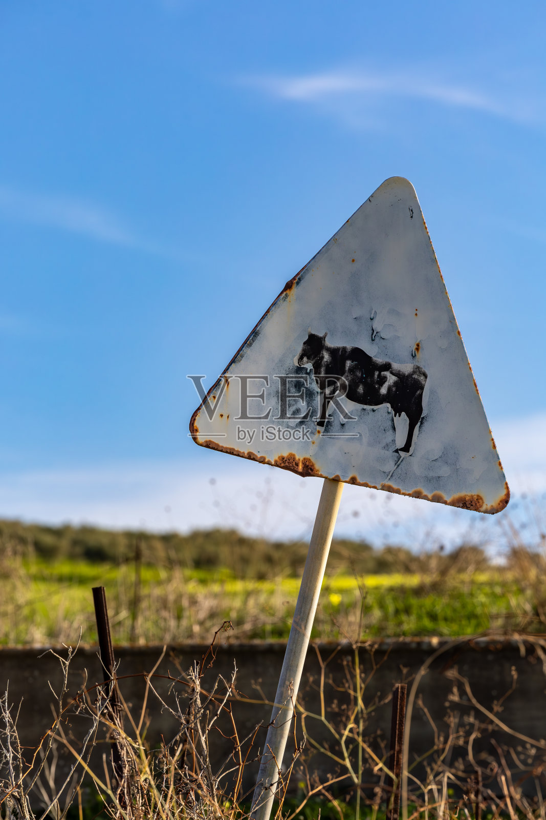 意大利西西里岛的Sciacca照片摄影图片