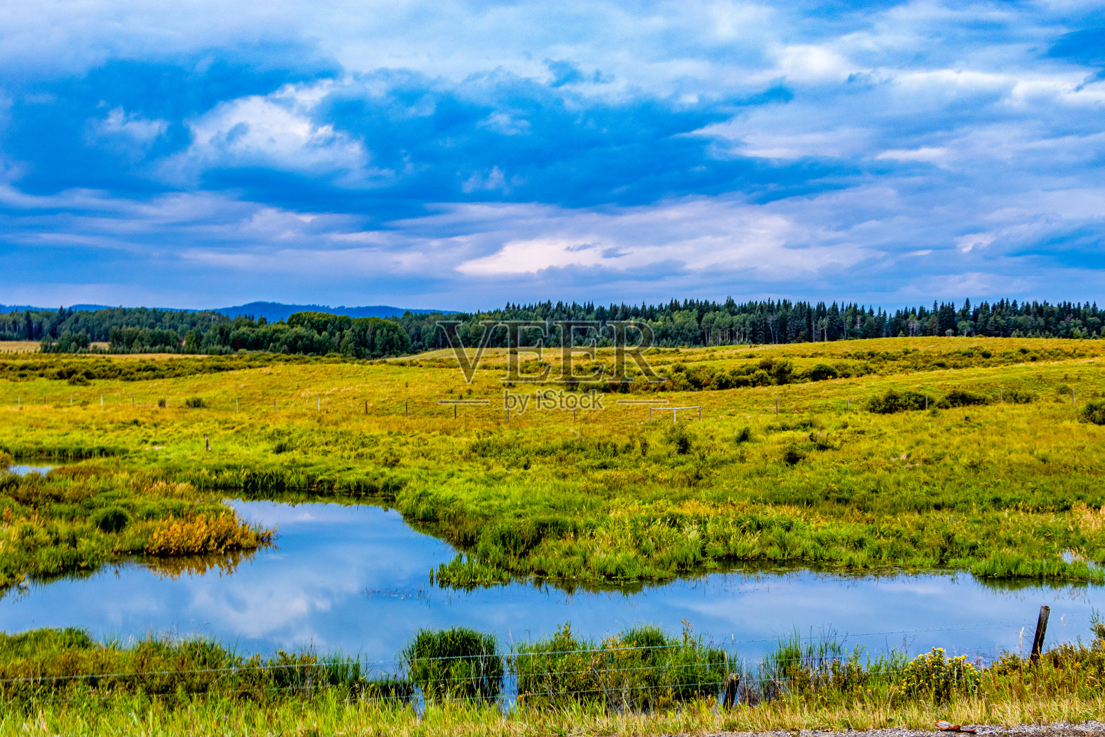 在加拿大艾伯塔省山景县附近开车照片摄影图片