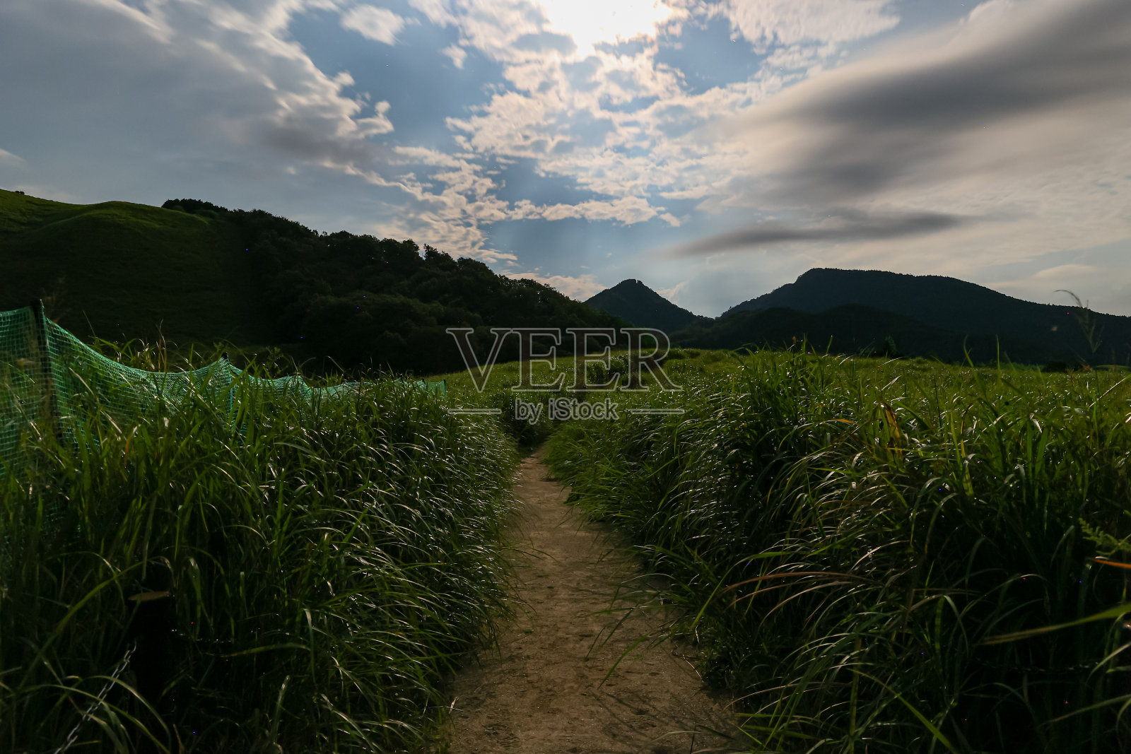 月光。照片摄影图片