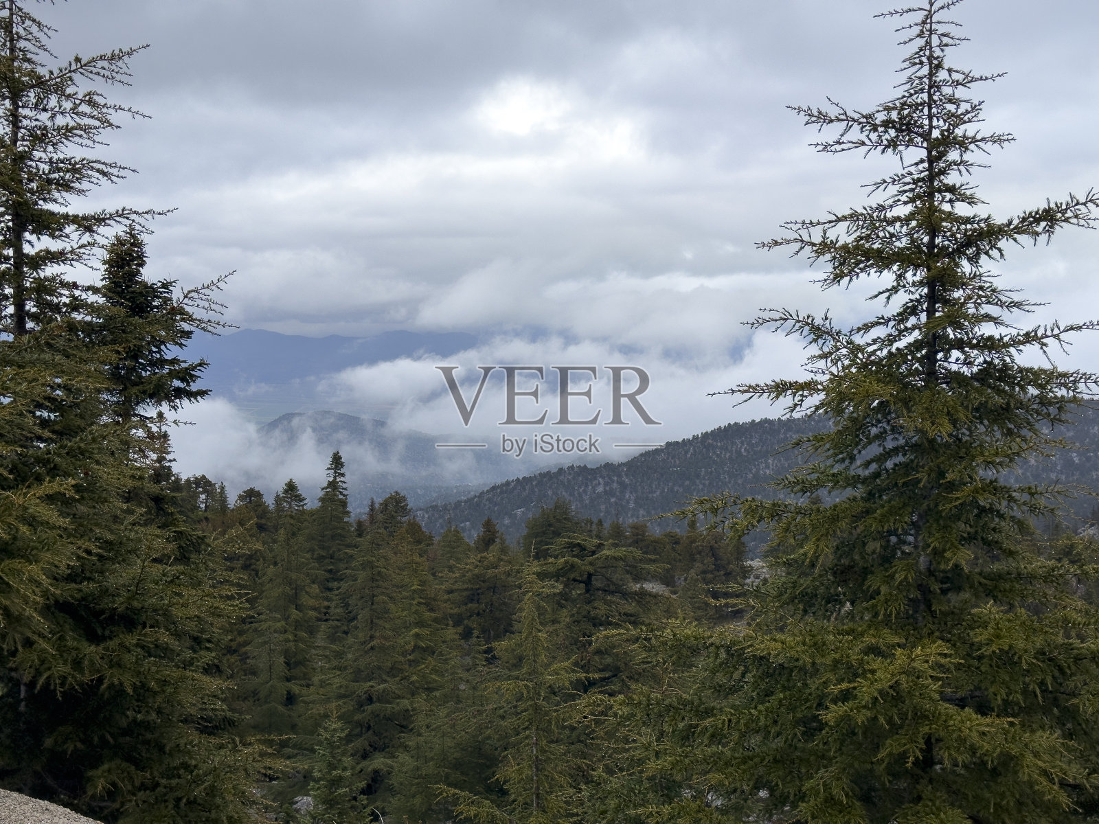 雨后在山顶形成雾蒙蒙的景观纹理照片摄影图片