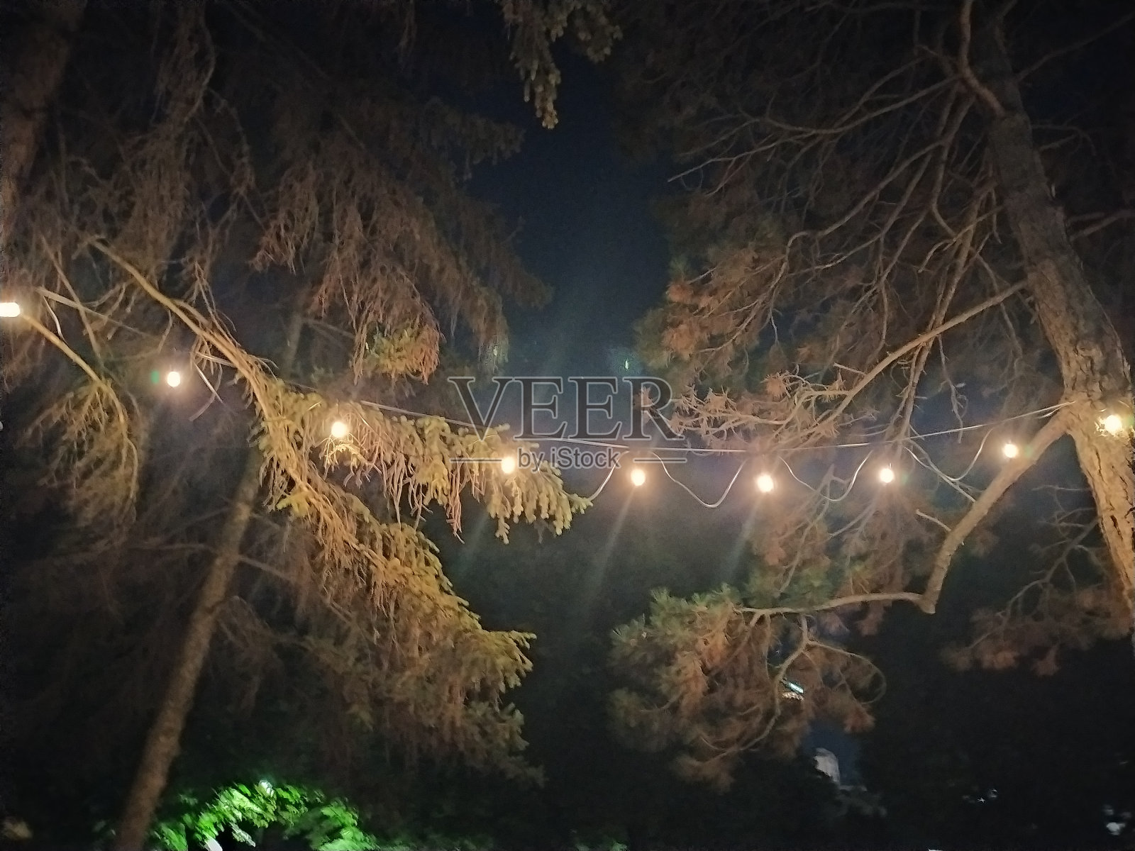 肛门三重奏照片摄影图片