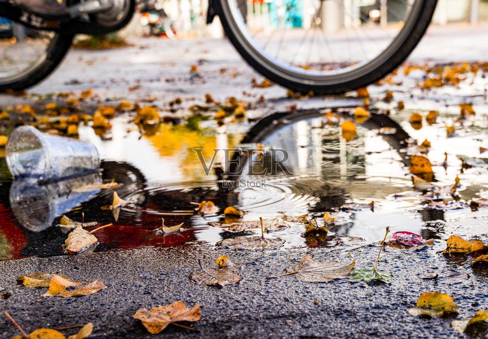水坑里有彩色的秋叶和倒影，其中有一辆自行车经过照片摄影图片