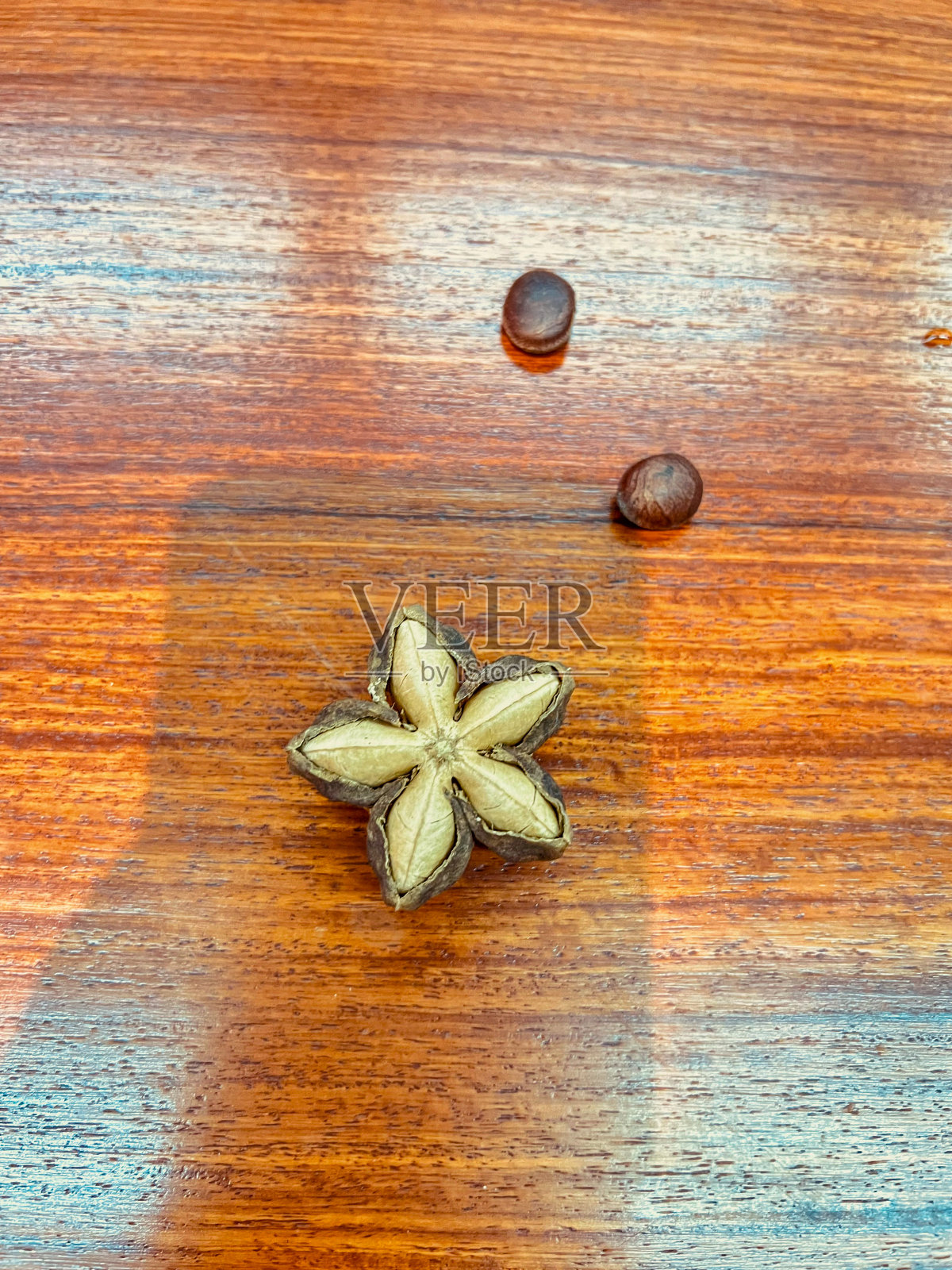 水果和骨头照片摄影图片